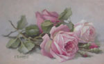 Pink, Dark Pink & White Roses